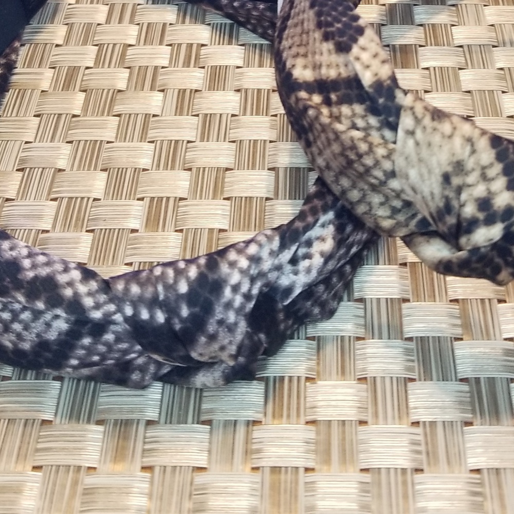 Trendy Black Snake Print knotted Headband - Picture 2 of 2